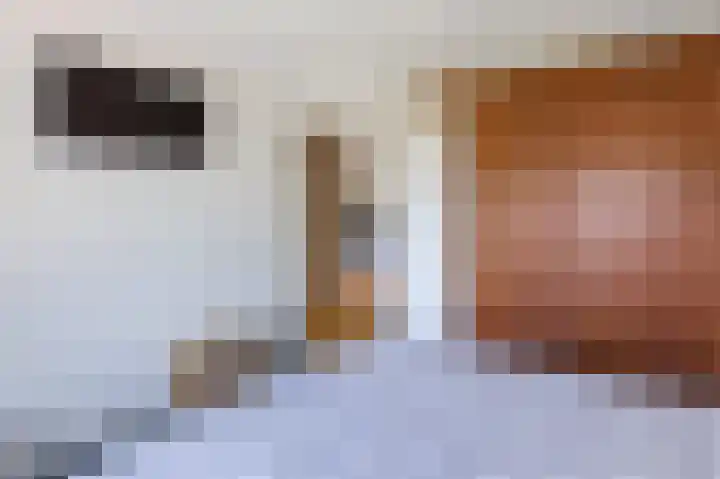Eikenbeemd 20 Diessen thumbnail 30