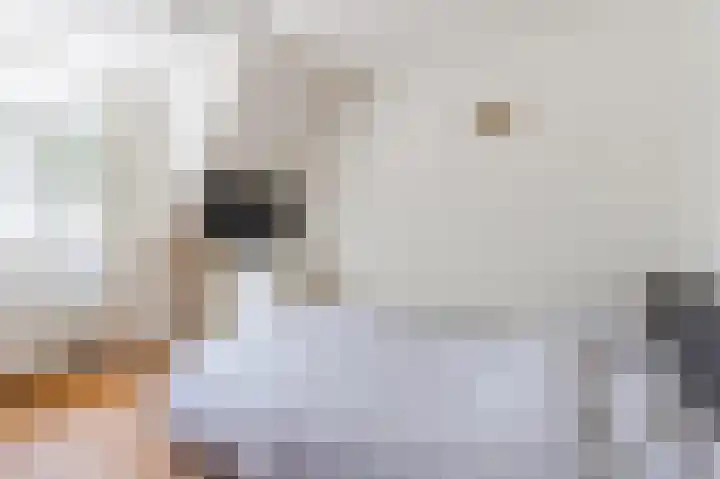 Eikenbeemd 20 Diessen thumbnail 33