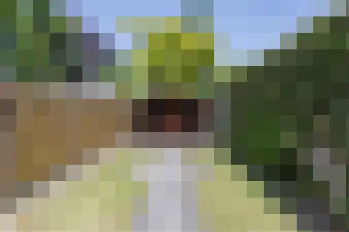Eikenbeemd 20 Diessen thumbnail 50