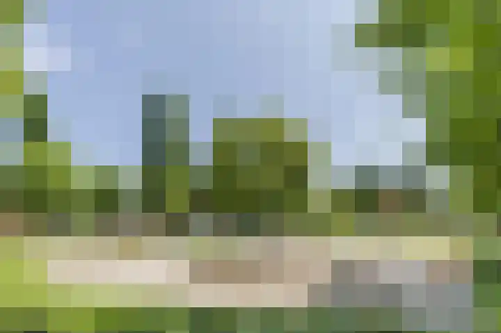 Eikenbeemd 20 Diessen thumbnail 51