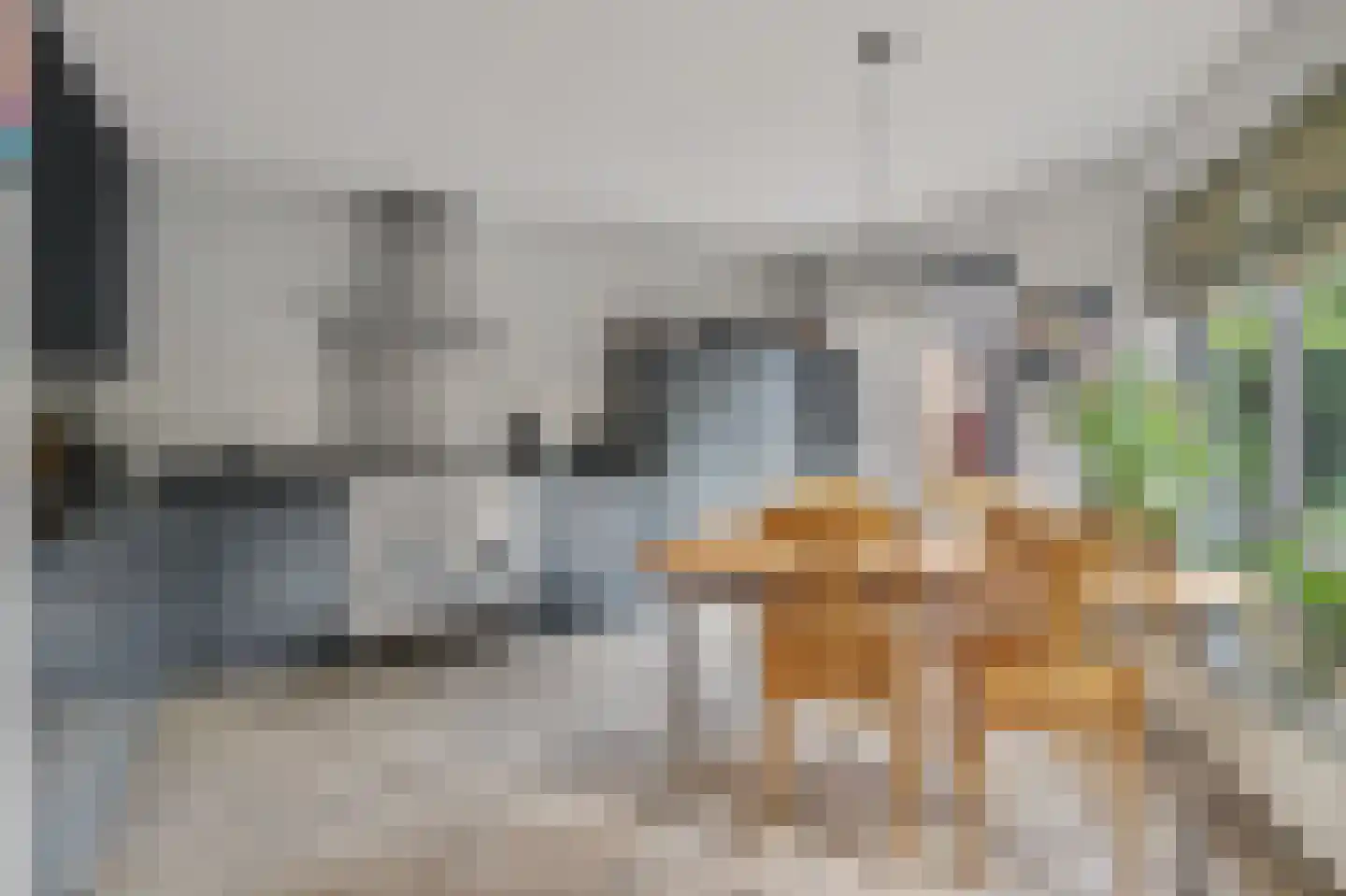 Eikenbeemd 22 Diessen thumbnail 11