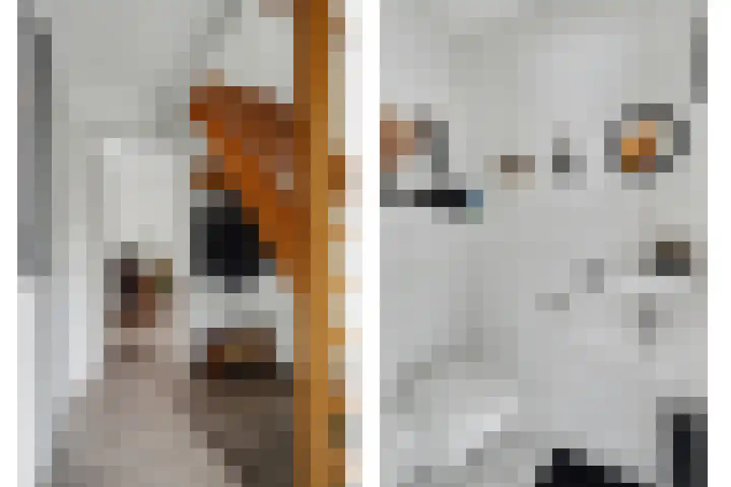 Eikenbeemd 22 Diessen thumbnail 4