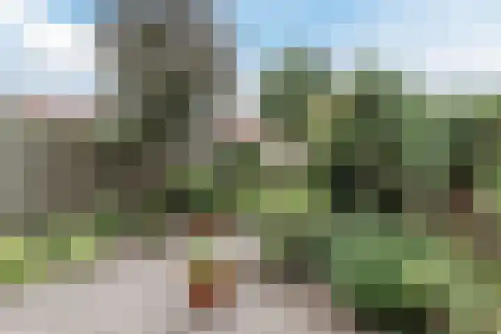 Eikenbeemd 35 Diessen thumbnail 21