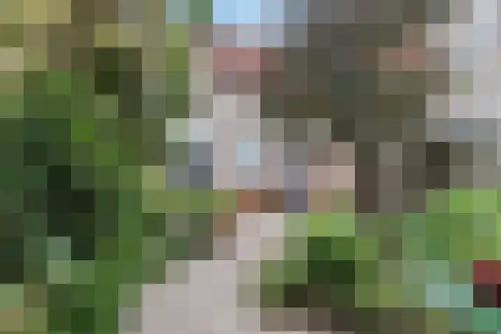 Eikenbeemd 35 Diessen thumbnail 23