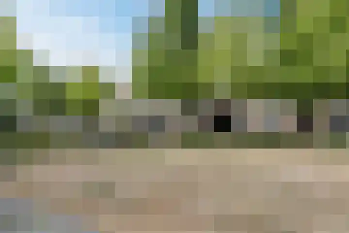 Eikenbeemd 35 Diessen thumbnail 25