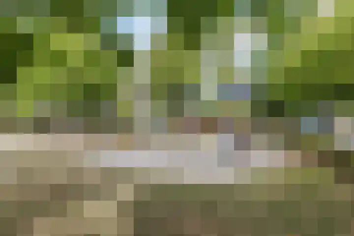 Eikenbeemd 35 Diessen thumbnail 27