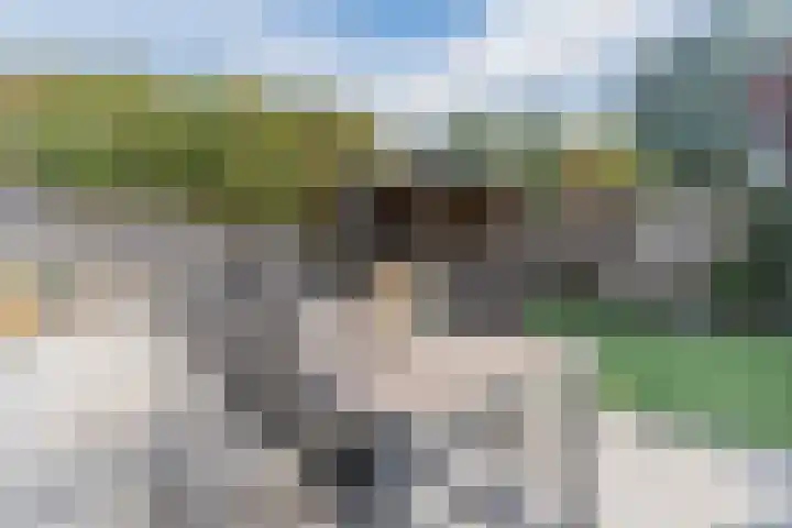 Eikenberg 34 Bergeijk thumbnail 32