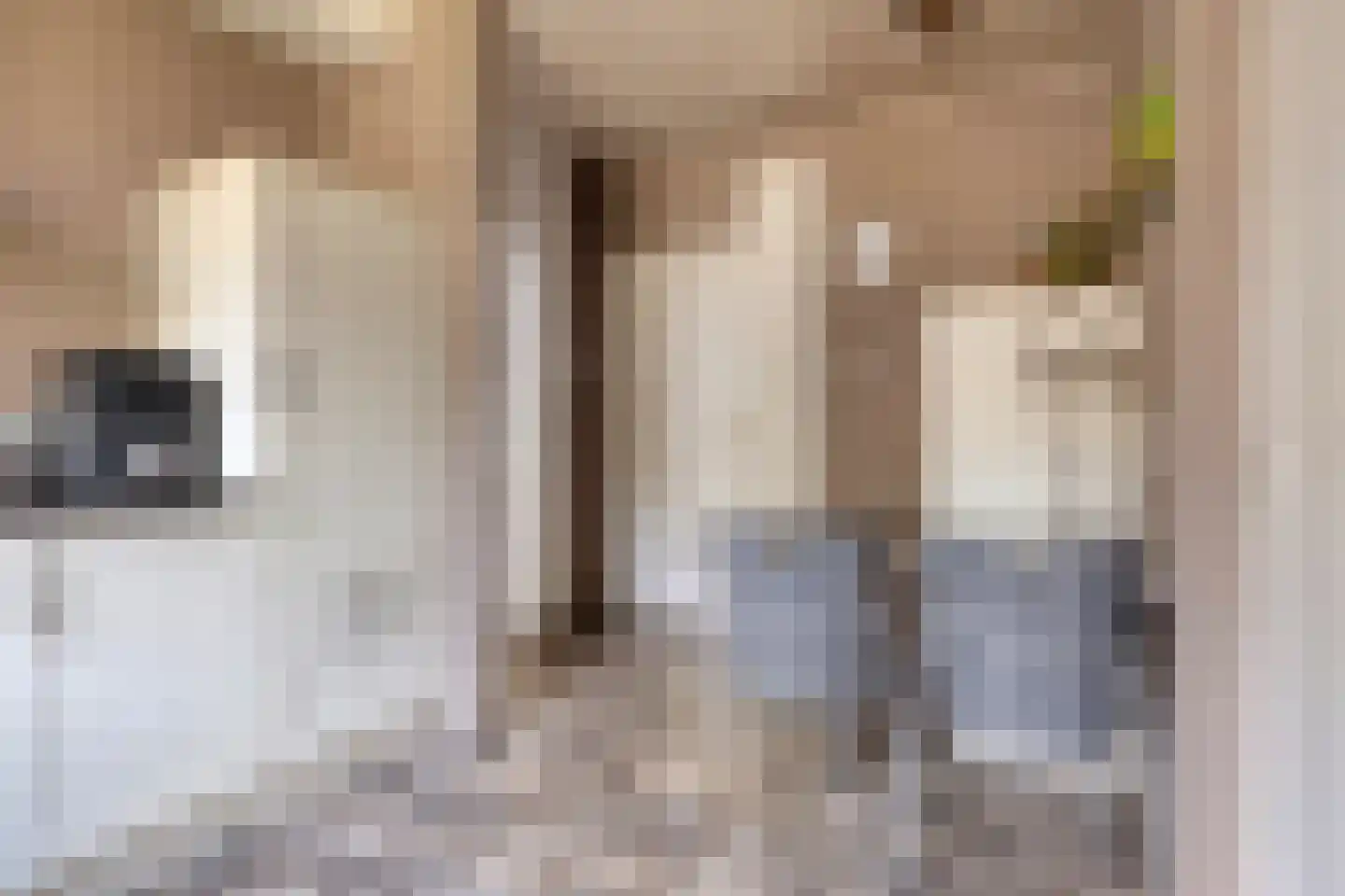 Eikenbocht 56 Knegsel thumbnail 13