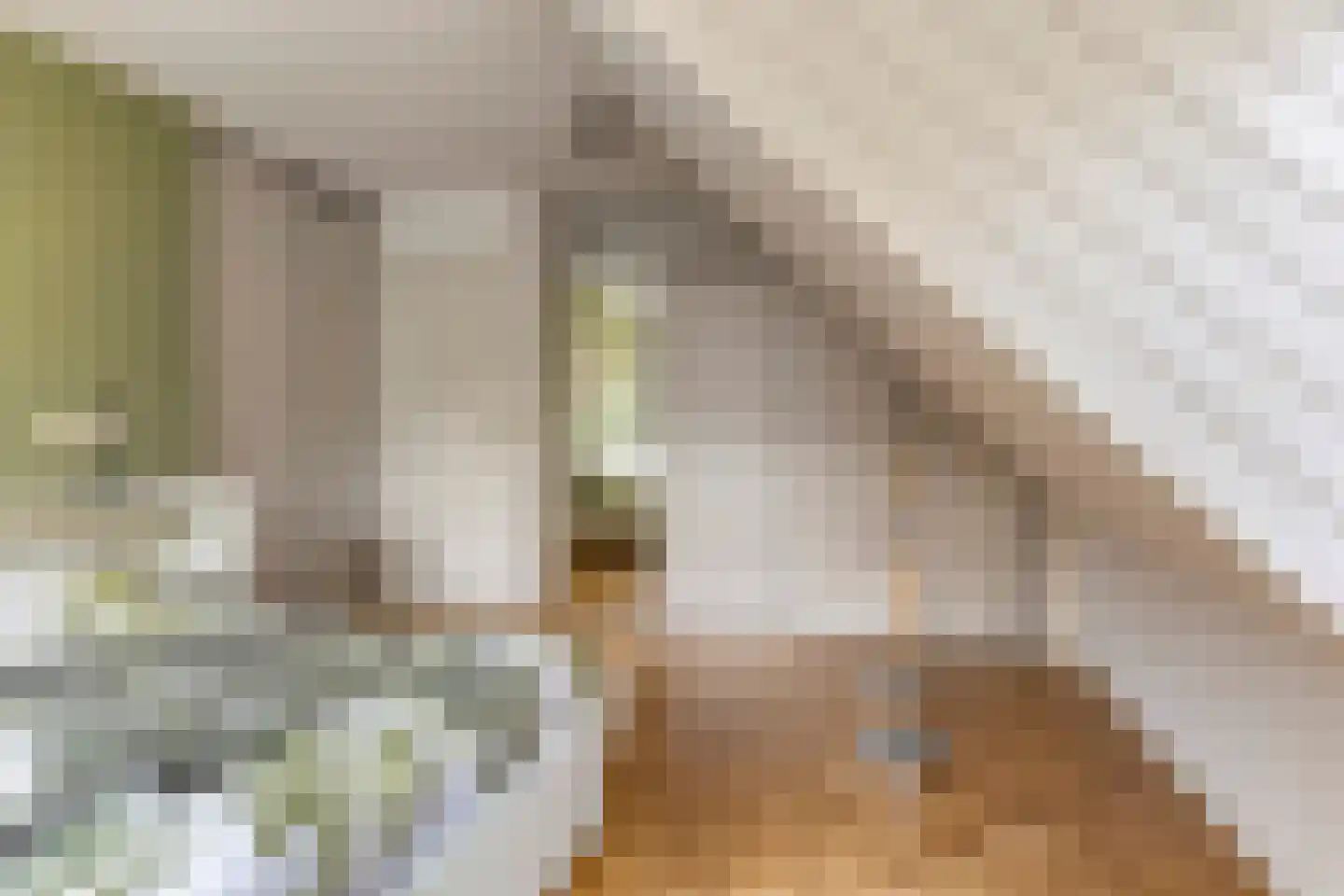 Eikenbocht 56 Knegsel thumbnail 22
