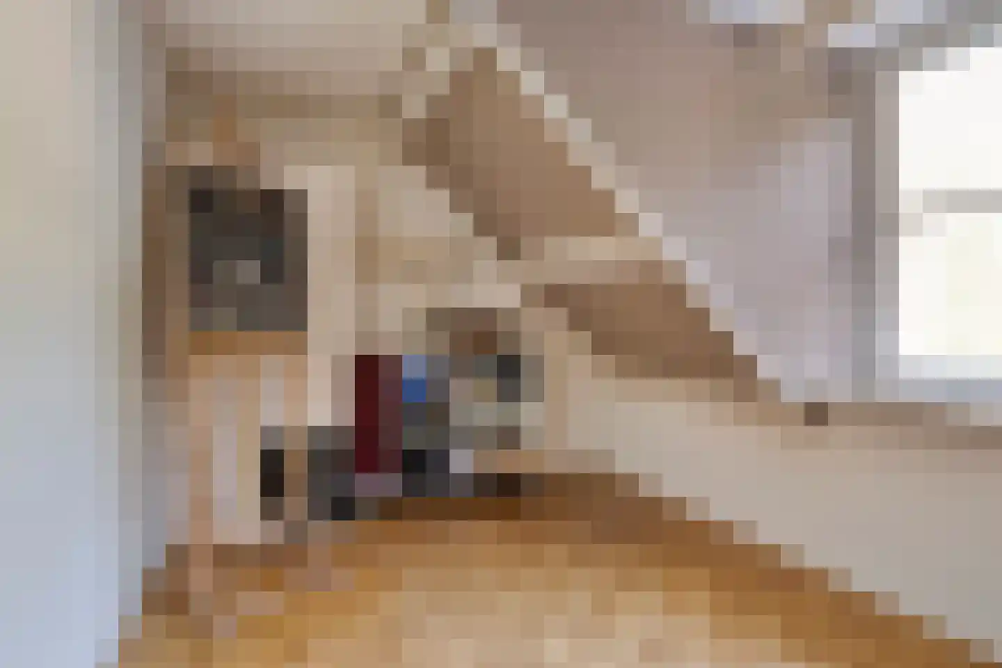 Eikenbocht 56 Knegsel thumbnail 28