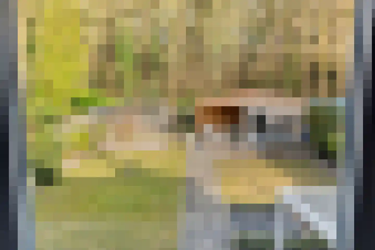Eikenbocht 56 Knegsel thumbnail 36