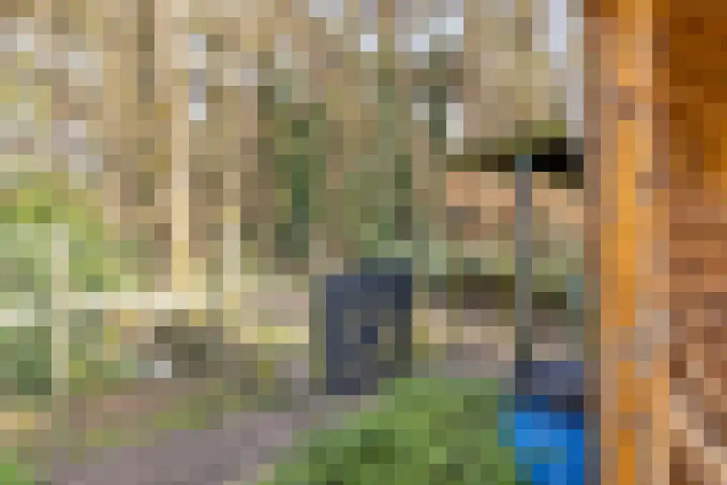 Eikenbocht 56 Knegsel thumbnail 41