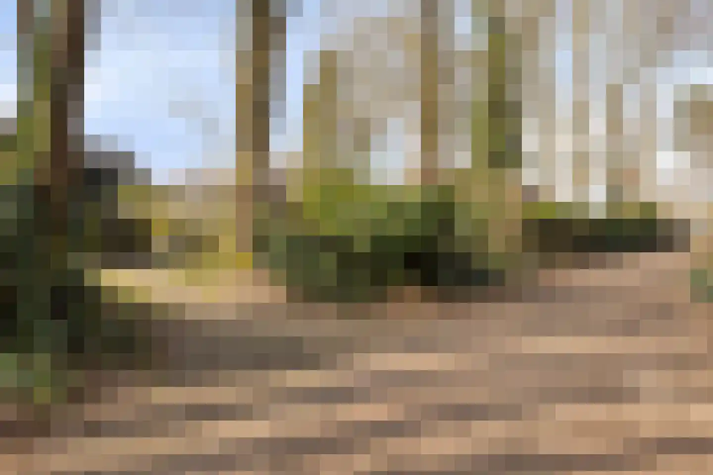 Eikenbocht 56 Knegsel thumbnail 42