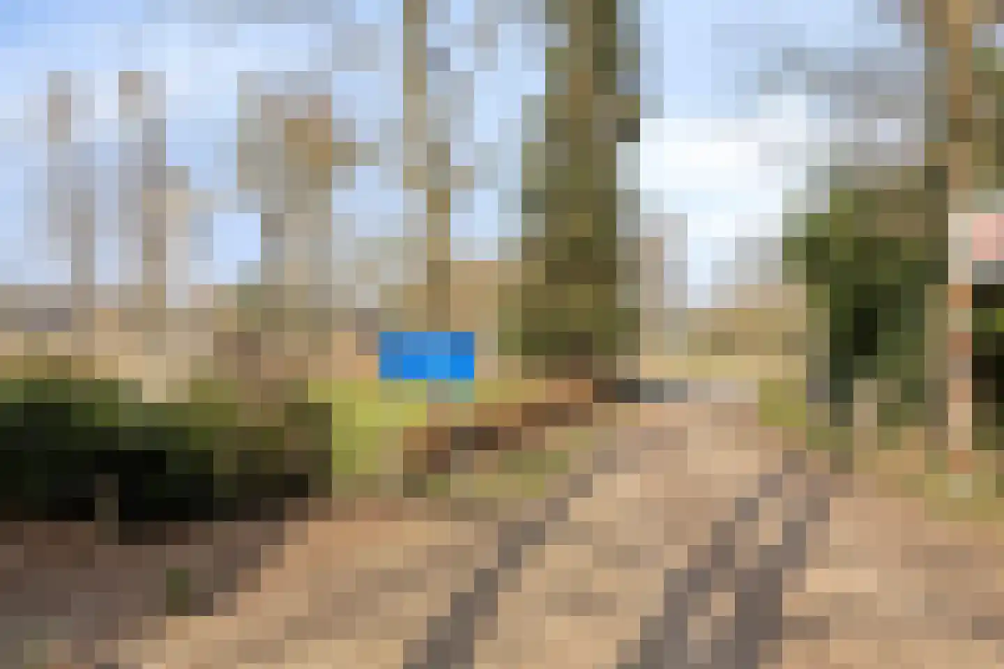 Eikenbocht 56 Knegsel thumbnail 45
