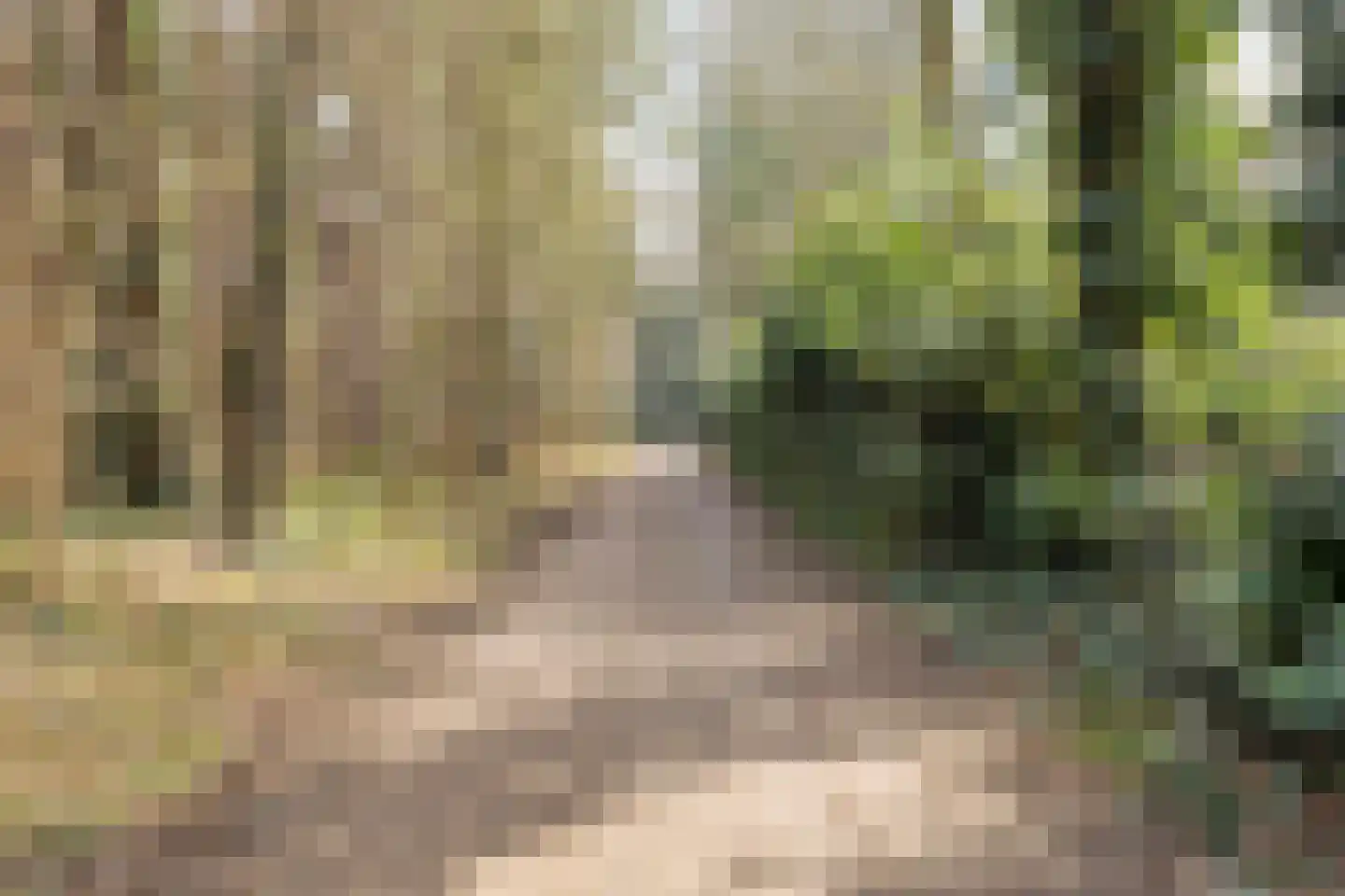 Eikenbocht 56 Knegsel thumbnail 46
