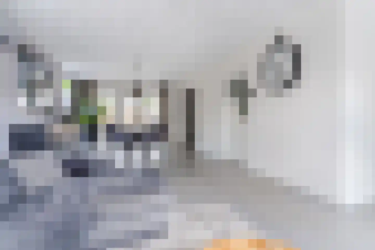 Eikenbocht 6 Knegsel thumbnail 11