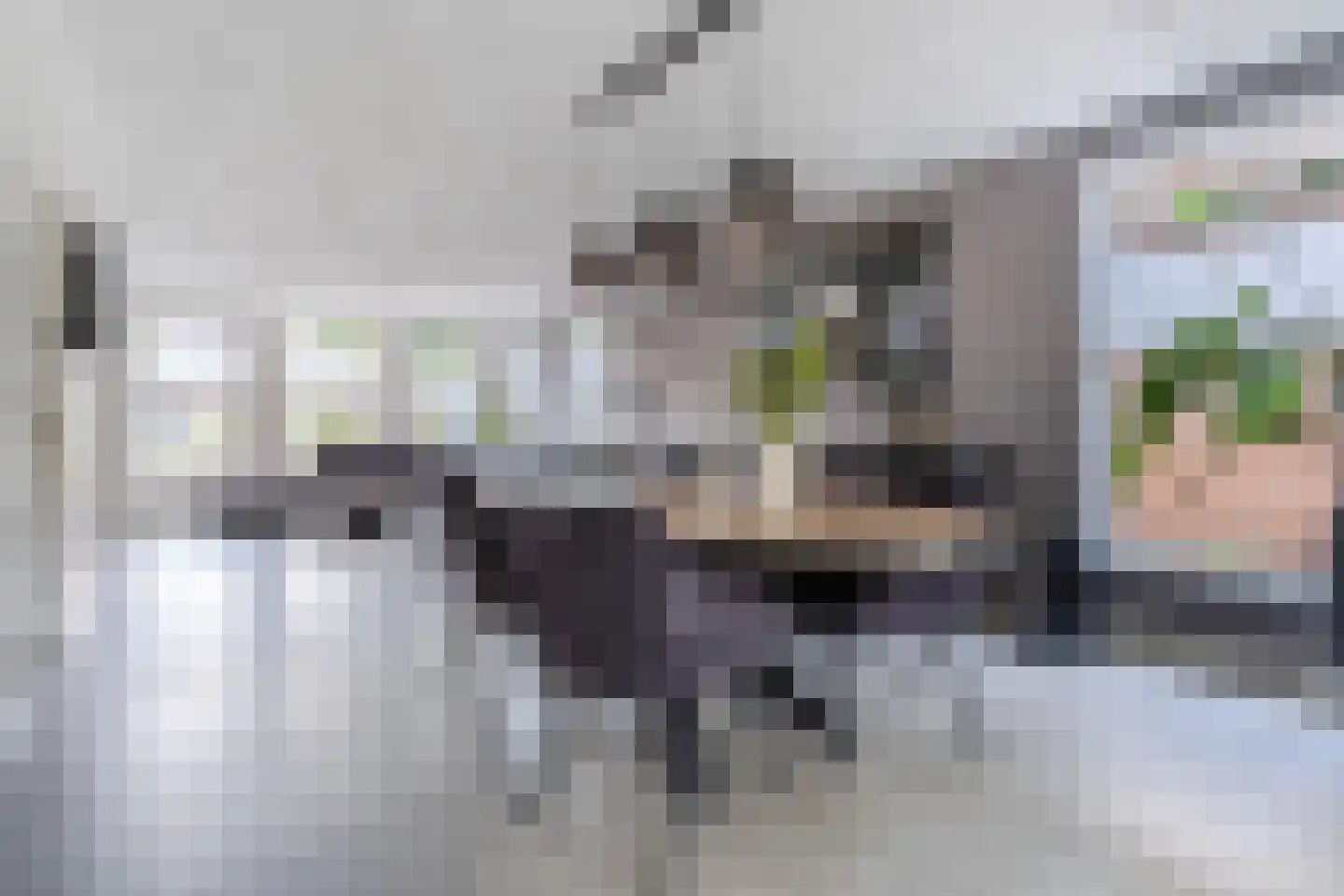 Eikenbocht 6 Knegsel thumbnail 13
