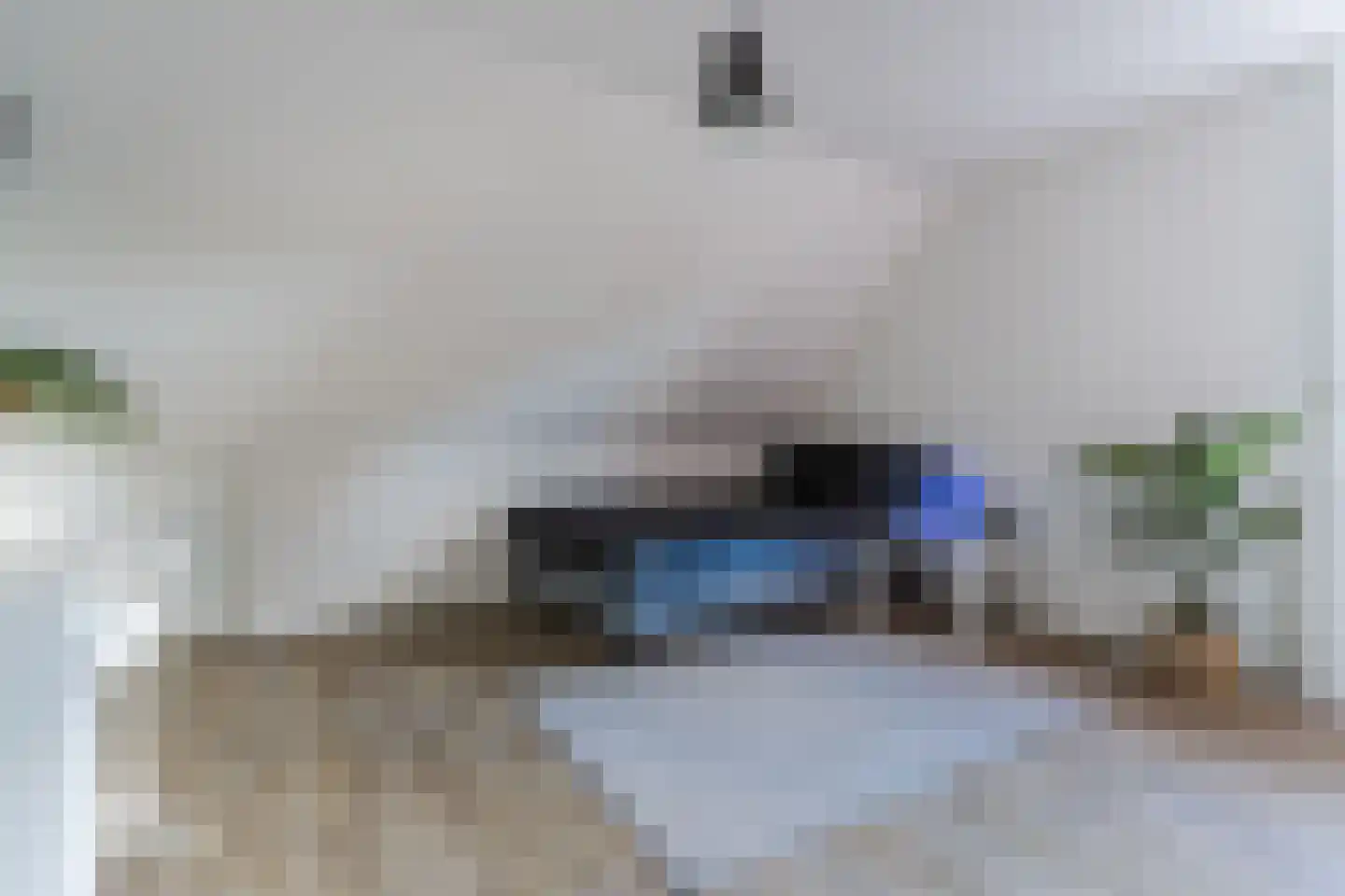 Eikenbocht 6 Knegsel thumbnail 26