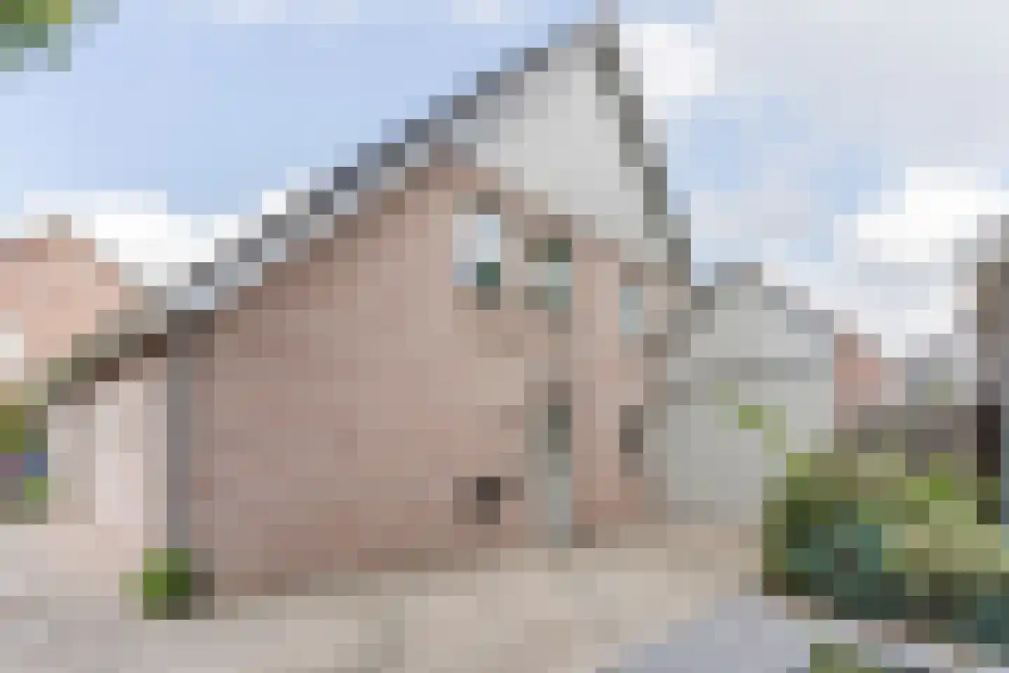 Eikenbocht 6 Knegsel thumbnail 43