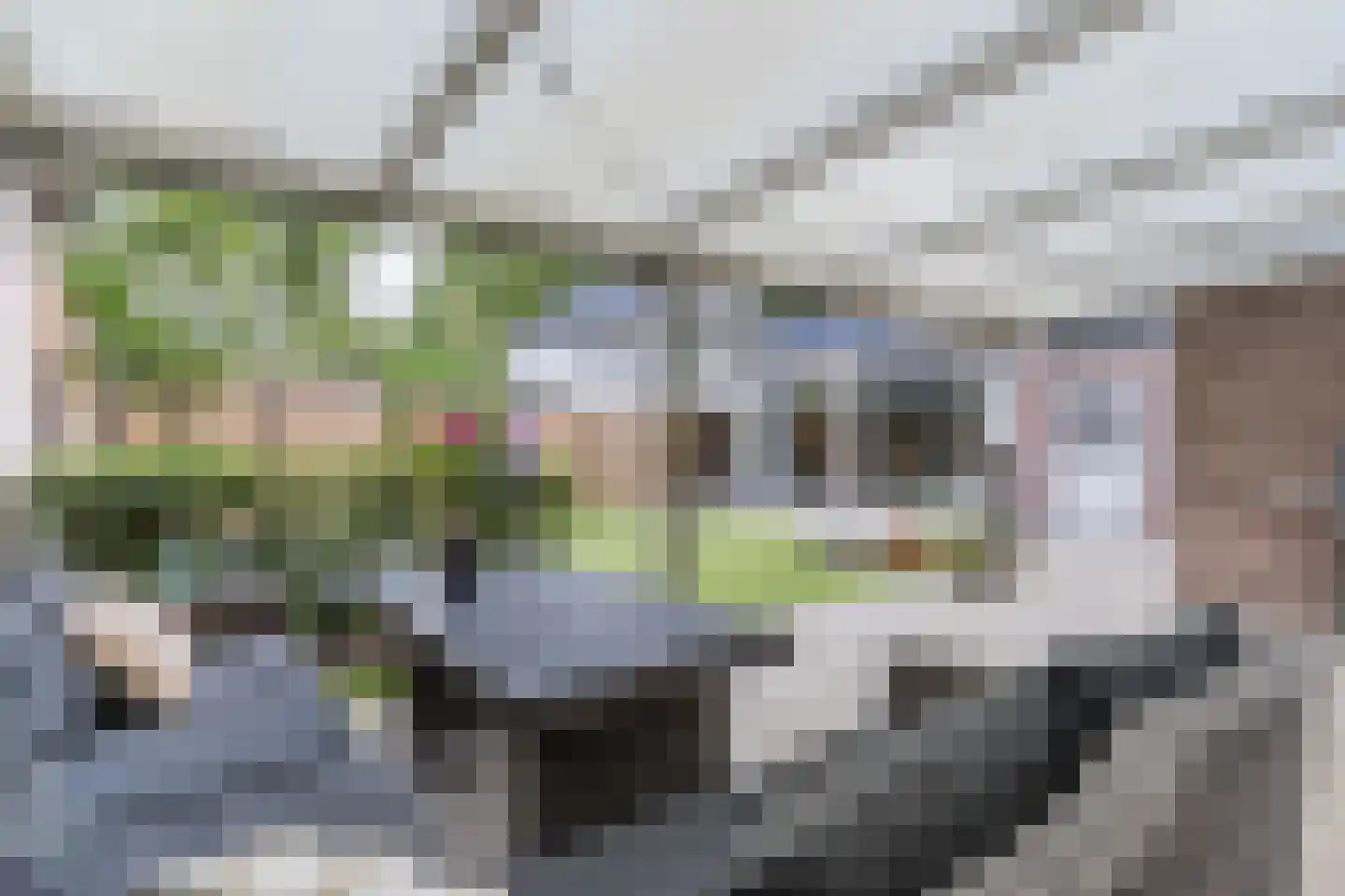 Eikenbocht 6 Knegsel thumbnail 50