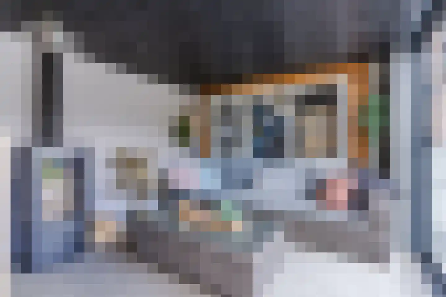 Eikenbocht 6 Knegsel thumbnail 55
