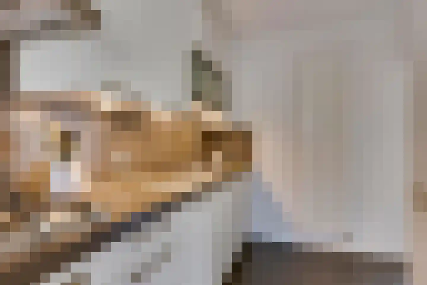 Eikenbocht 62 Knegsel thumbnail 14