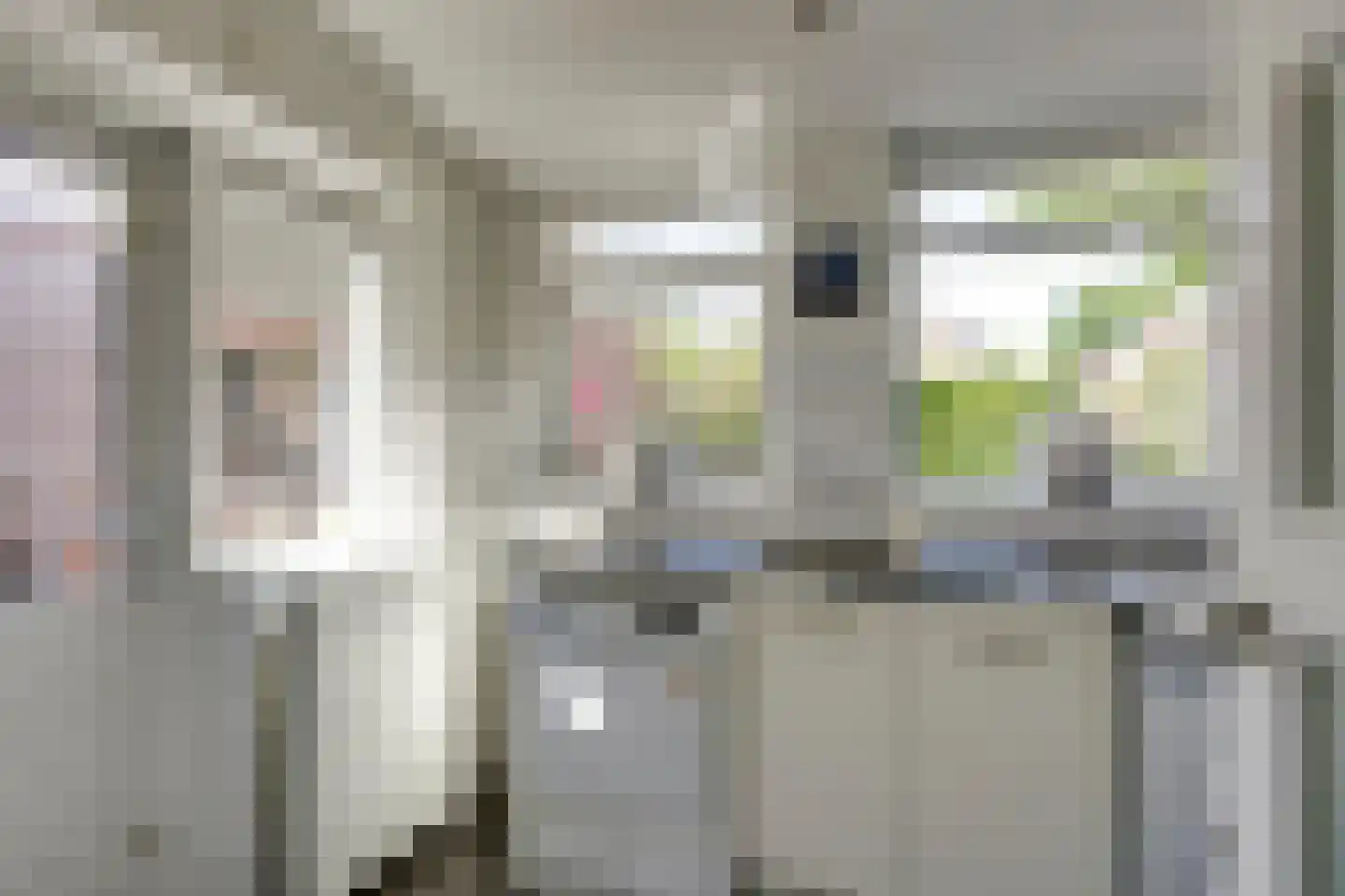 Eikenbocht 62 Knegsel thumbnail 16