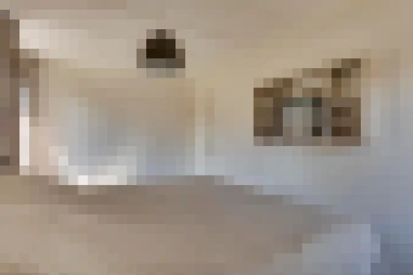 Eikenbocht 62 Knegsel thumbnail 22