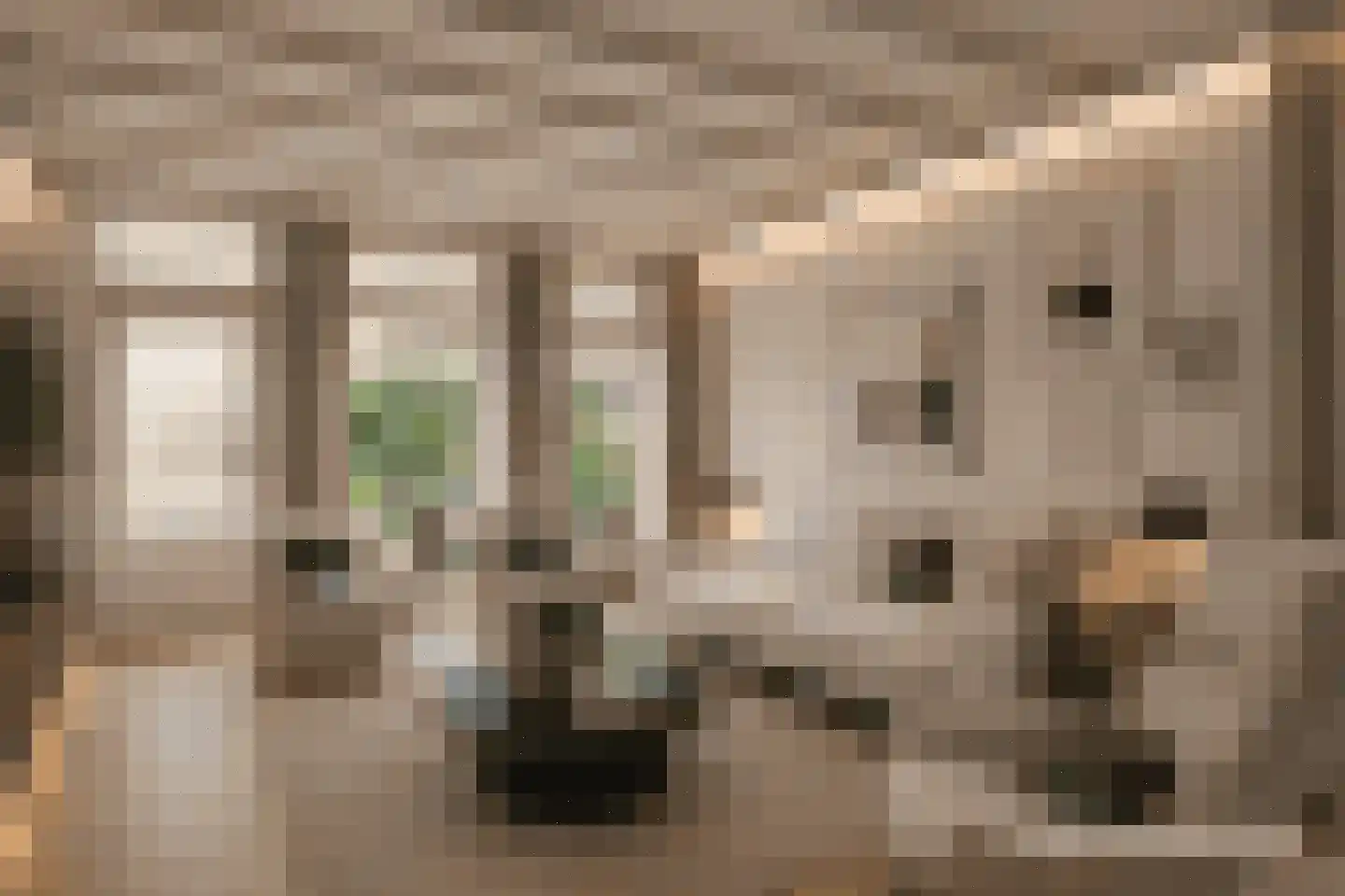 Eikenbocht 9 Knegsel thumbnail 10