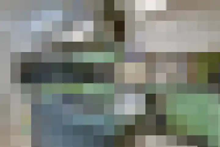 Eikenbocht 9 Knegsel thumbnail 12