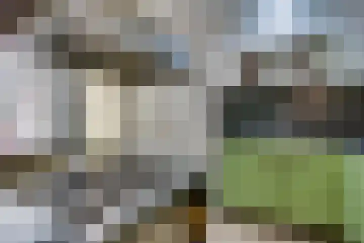 Eikenbocht 9 Knegsel thumbnail 13