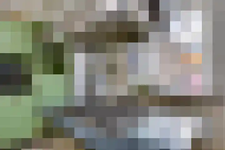 Eikenbocht 9 Knegsel thumbnail 14