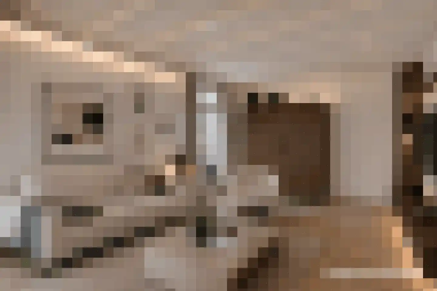 Eikenbocht 9 Knegsel thumbnail 14