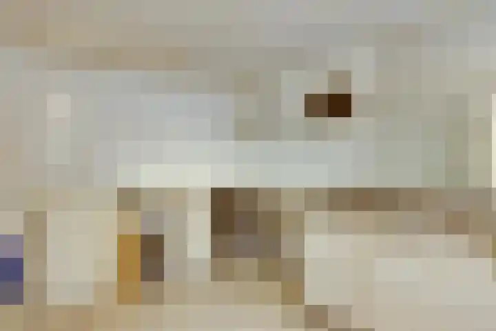 Eikenbocht 9 Knegsel thumbnail 15