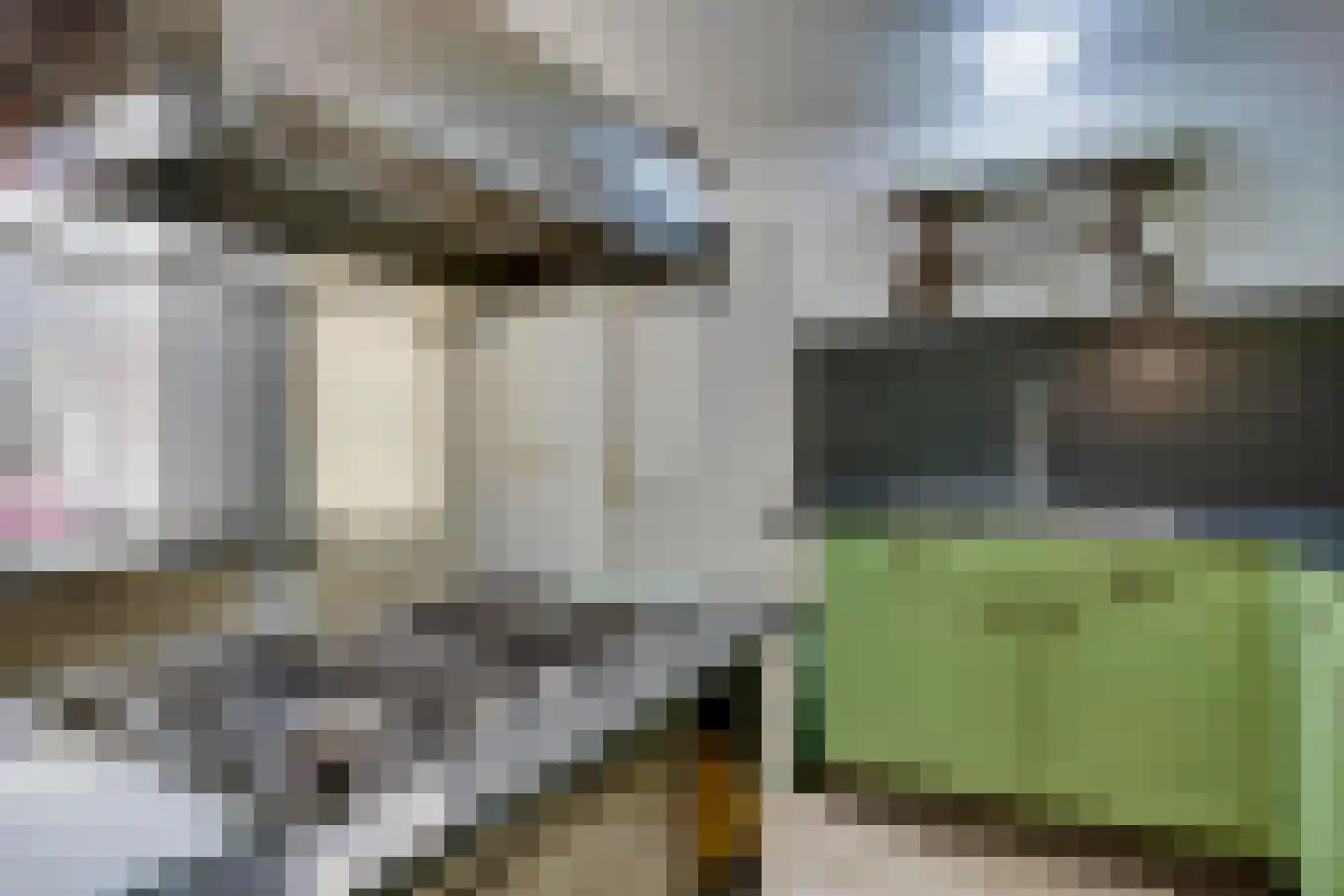 Eikenbocht 9 Knegsel thumbnail 19