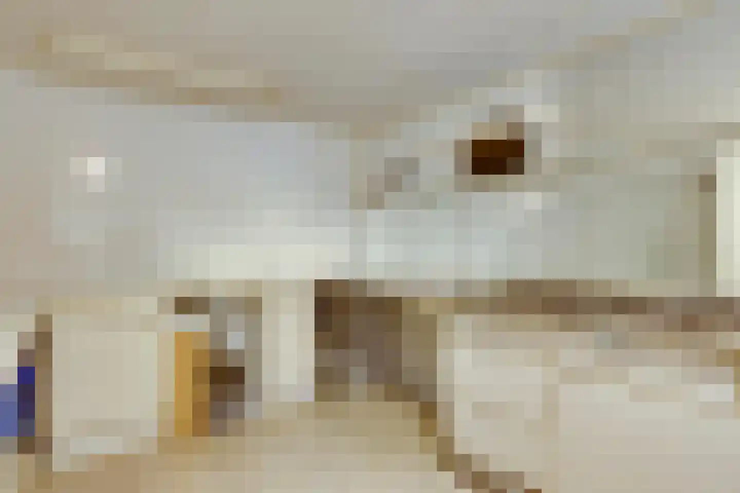 Eikenbocht 9 Knegsel thumbnail 21