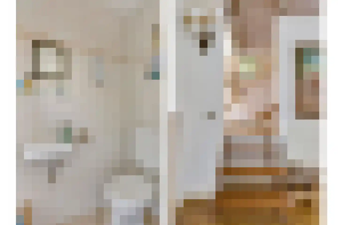 Eikenbocht 9 Knegsel thumbnail 27