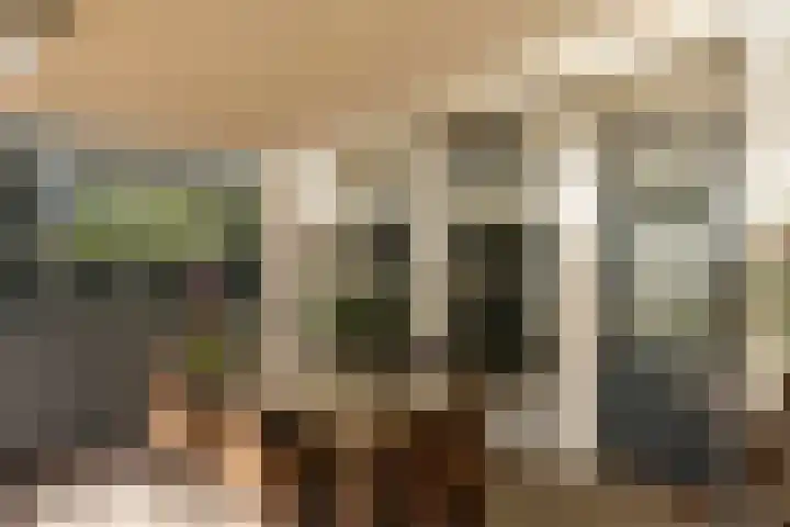 Eikenbocht 9 Knegsel thumbnail 33