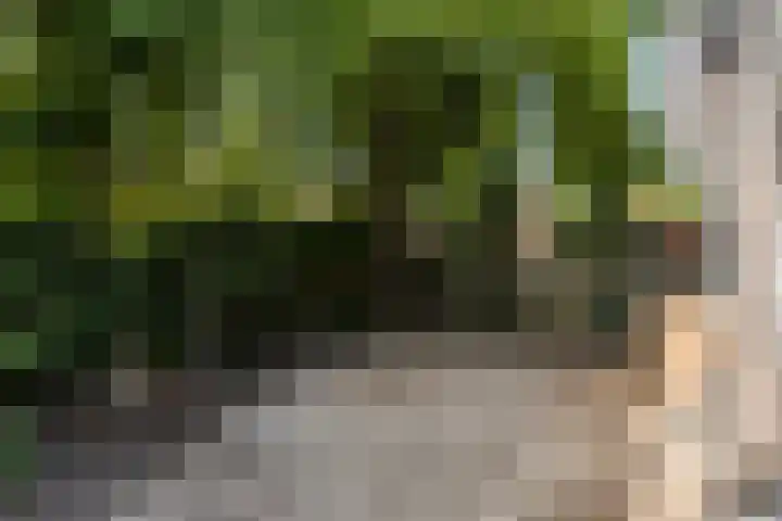 Eikenbocht 9 Knegsel thumbnail 35