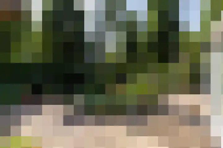 Eikenbocht 9 Knegsel thumbnail 38