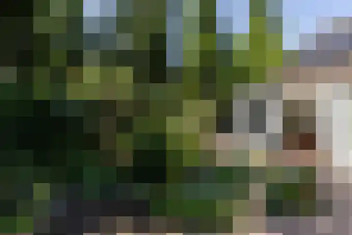 Eikenbocht 9 Knegsel thumbnail 39