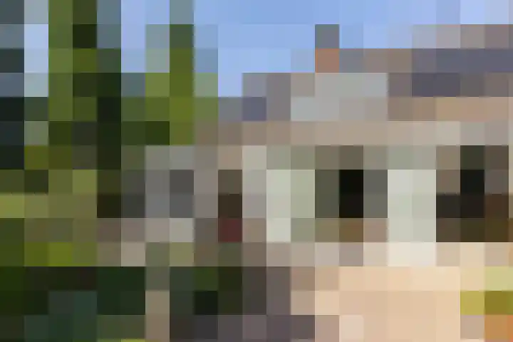 Eikenbocht 9 Knegsel thumbnail 40