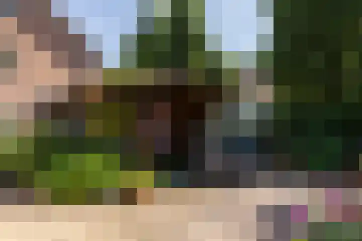 Eikenbocht 9 Knegsel thumbnail 41