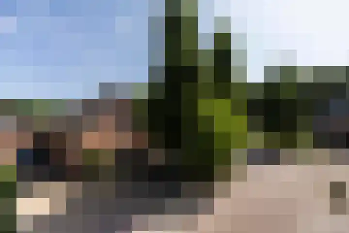 Eikenbocht 9 Knegsel thumbnail 42