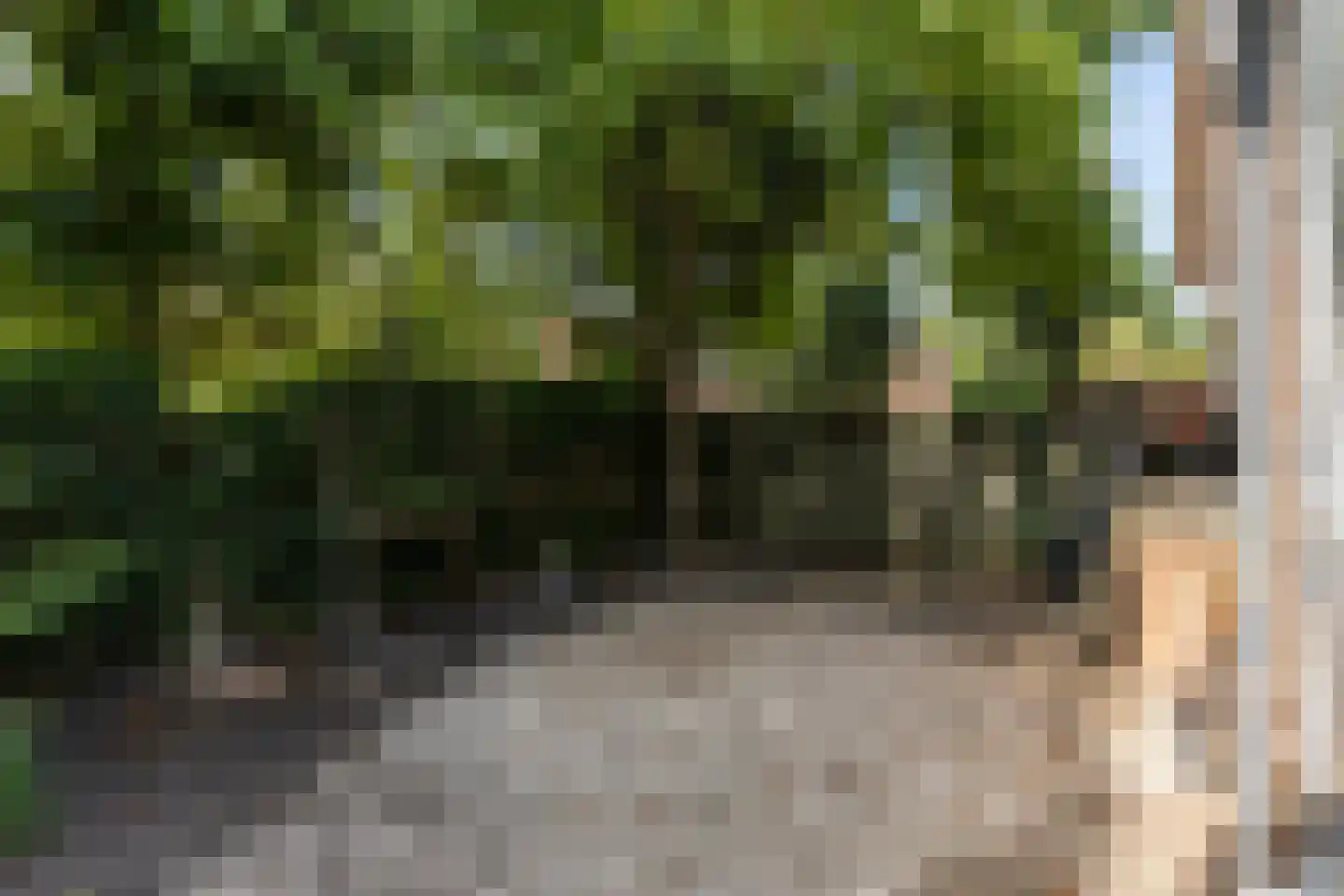 Eikenbocht 9 Knegsel thumbnail 44