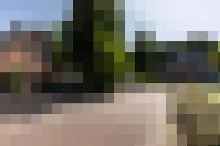 Eikenbocht 9 Knegsel thumbnail 44
