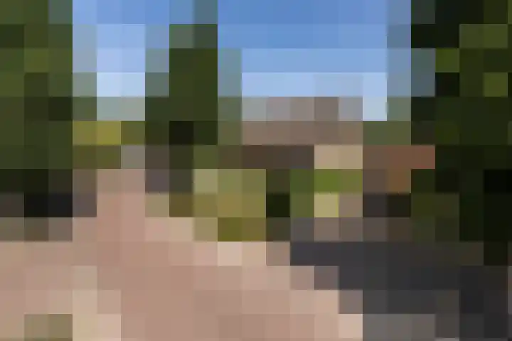 Eikenbocht 9 Knegsel thumbnail 46