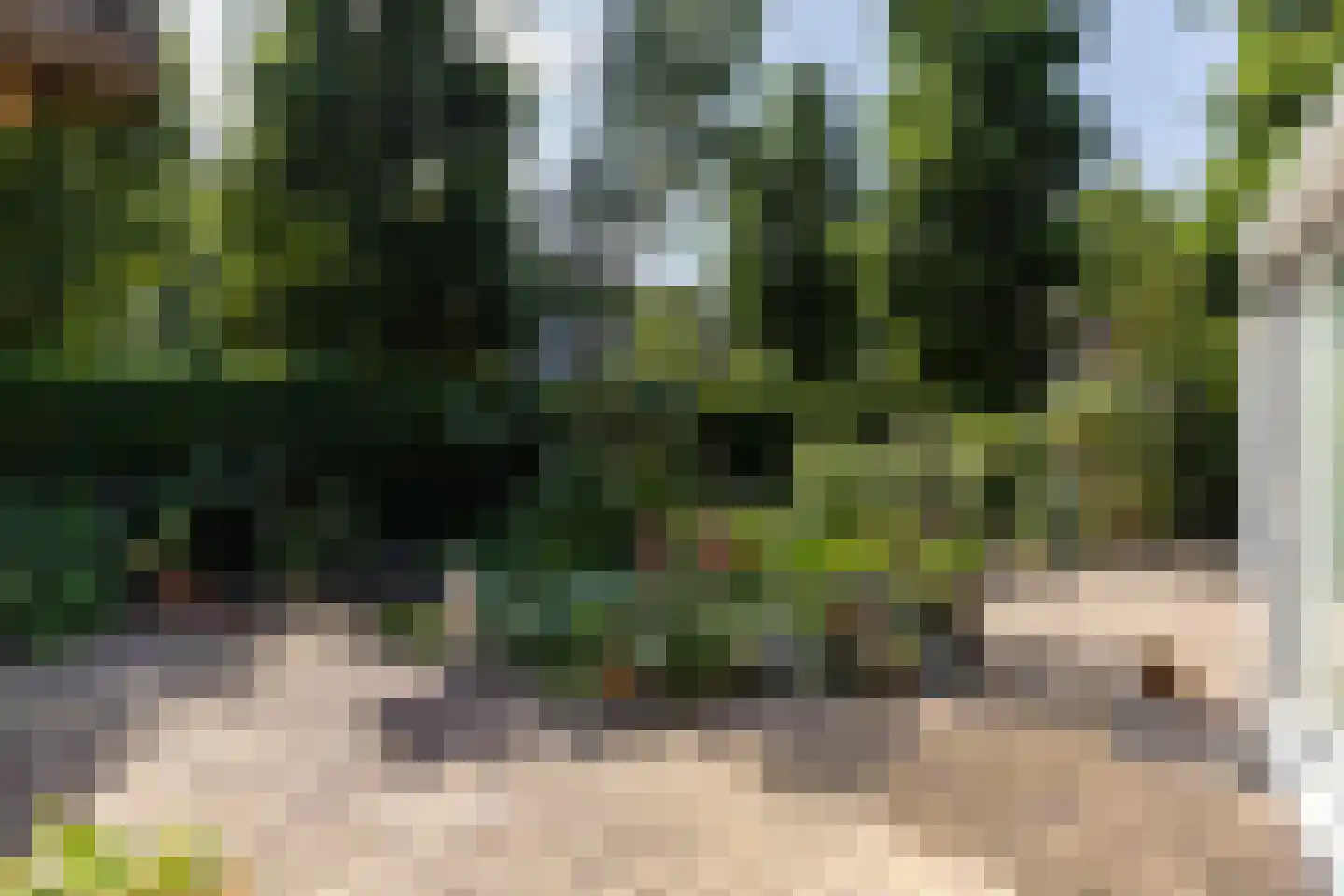 Eikenbocht 9 Knegsel thumbnail 47
