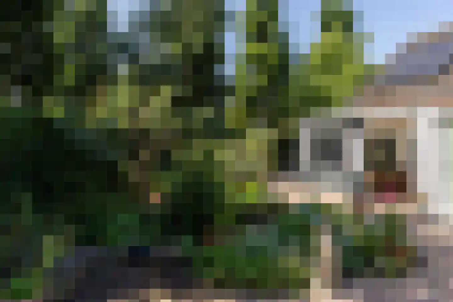 Eikenbocht 9 Knegsel thumbnail 48