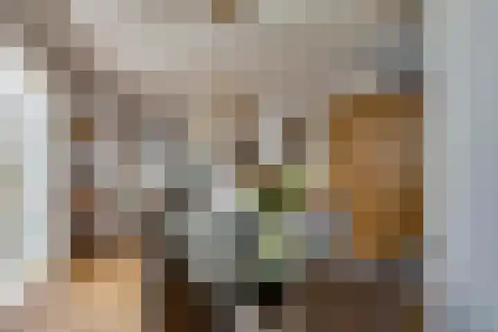 Eikenbocht 9 Knegsel thumbnail 5